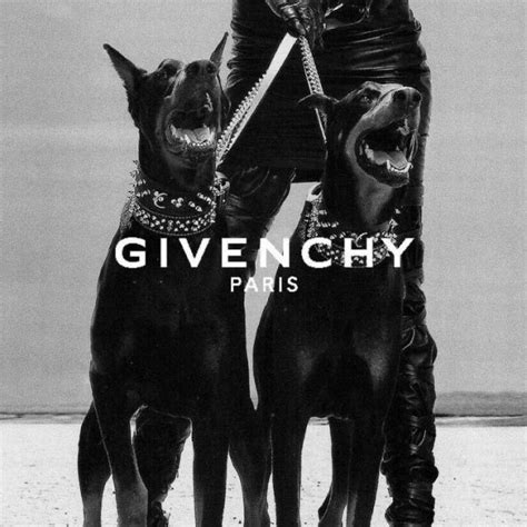 givenchy pets|givenchy dog wallpaper.